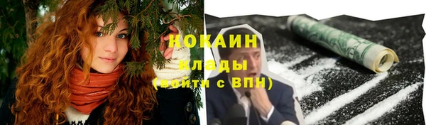 прущие грибы Нязепетровск