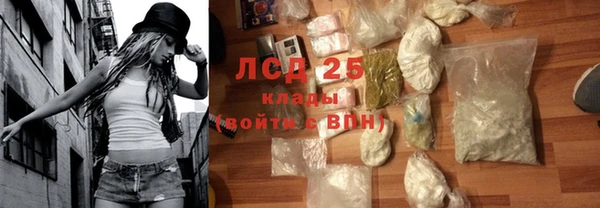прущие грибы Няндома