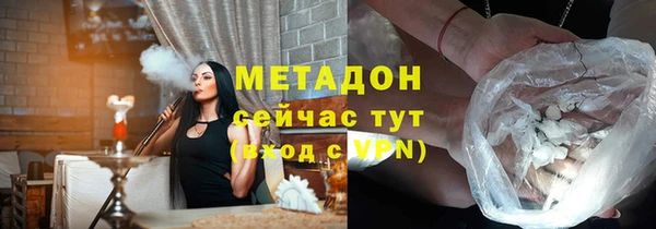 прущие грибы Няндома
