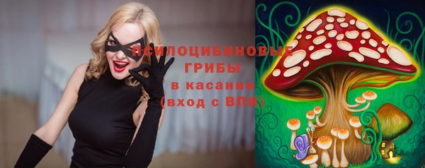 ПСИЛОЦИБИНОВЫЕ ГРИБЫ Нягань
