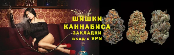 прущие грибы Няндома