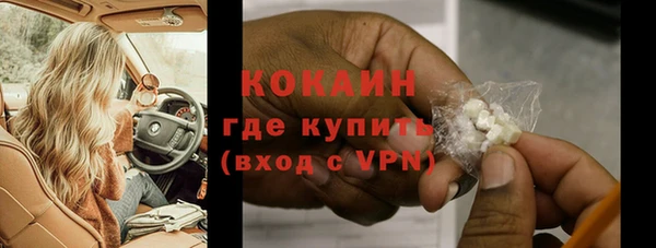 прущие грибы Няндома