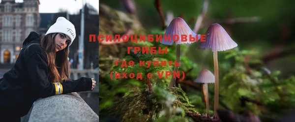 прущие грибы Нязепетровск