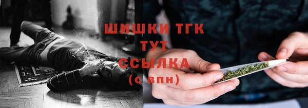 прущие грибы Нязепетровск