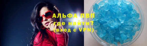 прущие грибы Няндома