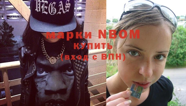 прущие грибы Няндома