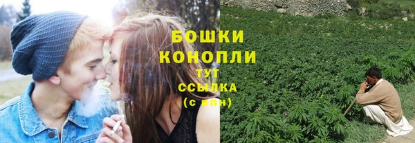 СК Осинники