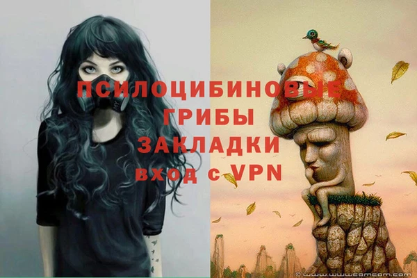 ПСИЛОЦИБИНОВЫЕ ГРИБЫ Нягань