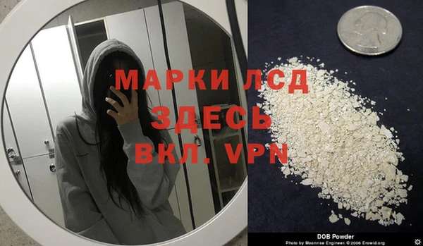 прущие грибы Нязепетровск
