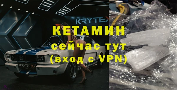 прущие грибы Няндома