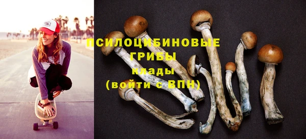 прущие грибы Нязепетровск