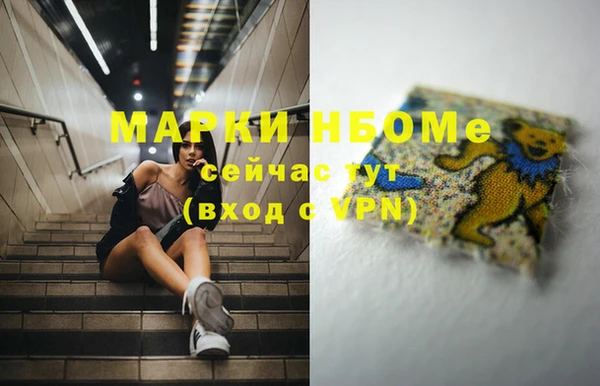 стафф Новозыбков