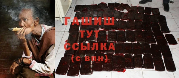 прущие грибы Няндома