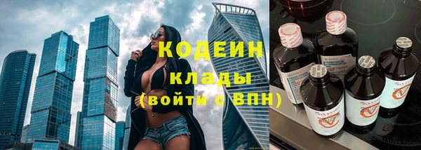 прущие грибы Няндома