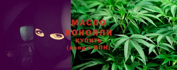 прущие грибы Няндома