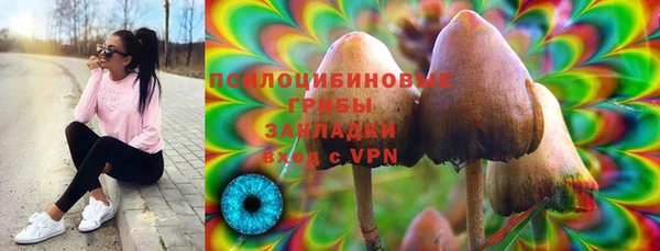 ПСИЛОЦИБИНОВЫЕ ГРИБЫ Нягань