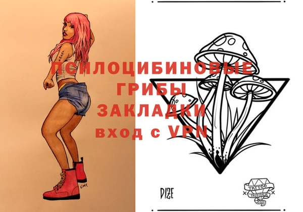 дурь Осташков
