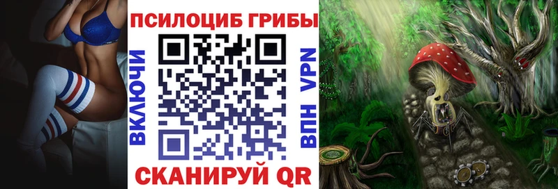 Галлюциногенные грибы Psilocybe  где купить наркотик  Рыльск 